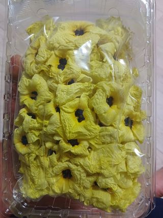 강생아빠님의 작성글 사진