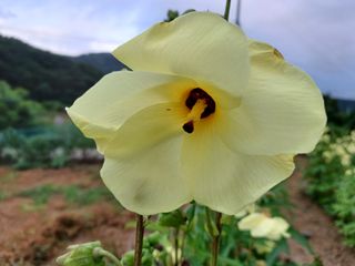 강생아빠님의 작성글 사진