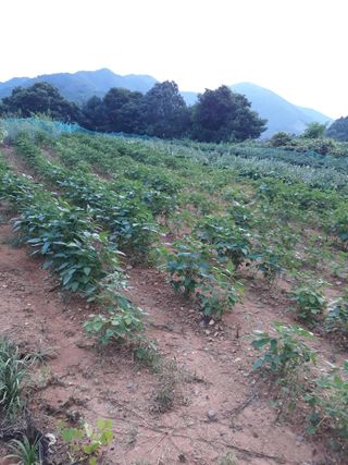 조동원님의 자유주제 · 자유게시판 작성글 사진