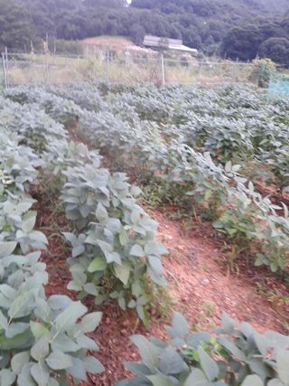 조동원님의 자유주제 · 자유게시판 작성글 사진