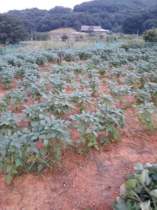 조동원님의 자유주제 · 자유게시판 작성글 사진