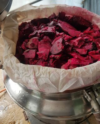 남궁. 정님의 8월 내 작물 자랑하기 · 참여글 작성글 사진