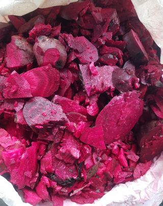 남궁. 정님의 8월 내 작물 자랑하기 · 참여글 작성글 사진