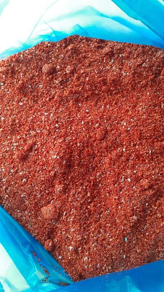 송광만님의 고추 · 저장•가공 작성글 사진