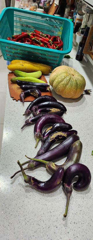 홍순강화모리님의 자유주제 · 사진전 작성글 사진