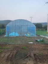 팜모닝 참깨·영농일지 게시글 이미지