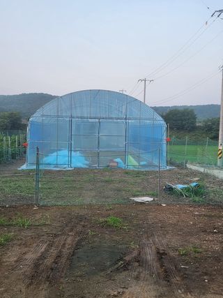 HYUN님의 참깨 · 영농일지 작성글 사진