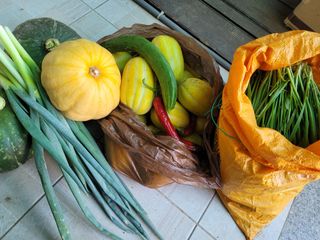 황창옥님의 자유주제 · 자유게시판 작성글 사진