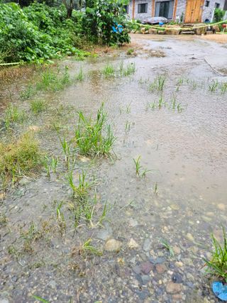 김병돈님의 나의 농사 필수품 소개하기 · 참여글 작성글 사진