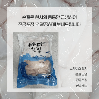 알 수 없음님의 작성글 사진