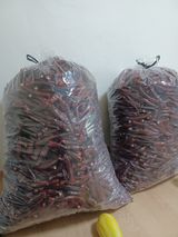 팜모닝 고추·수확 게시글 이미지