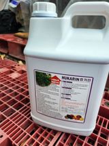 팜모닝 포도·영농일지 게시글 이미지