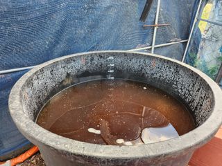 권오율님의 포도 · 영농일지 작성글 사진