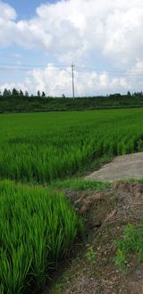 팜모닝 나의 농사 필수품 소개하기·참여글 게시글 이미지