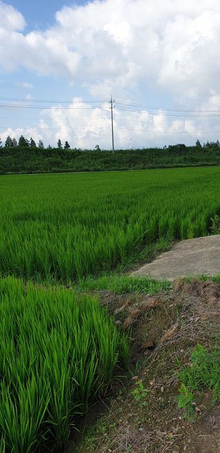 정안채님의 나의 농사 필수품 소개하기 · 참여글 작성글 사진