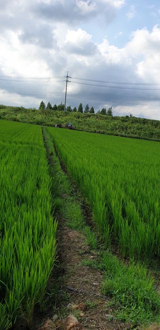 정안채님의 나의 농사 필수품 소개하기 · 참여글 작성글 사진