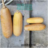 팜모닝 호박·자유게시판 게시글 이미지