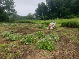 지대식님의 나의 농사 필수품 소개하기 · 참여글 작성글 사진