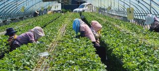 박원재님의 나의 농사 필수품 소개하기 · 참여글 작성글 사진