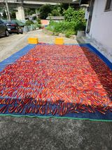 팜모닝 고추·영농일지 게시글 이미지