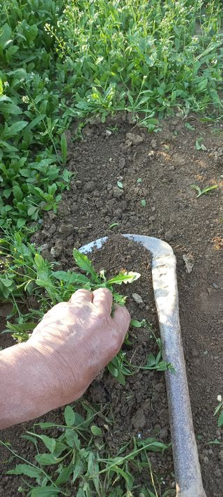 알 수 없음님의 나의 농사 필수품 소개하기 · 참여글 작성글 사진