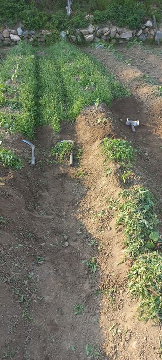 알 수 없음님의 나의 농사 필수품 소개하기 · 참여글 작성글 사진