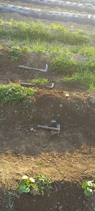 알 수 없음님의 나의 농사 필수품 소개하기 · 참여글 작성글 사진