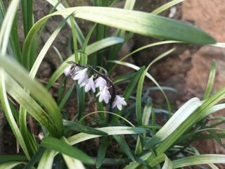 한소현님의 나의 농사 필수품 소개하기 · 참여글 작성글 사진