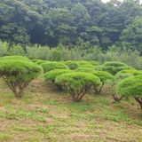 팜모닝 나의 농사 필수품 소개하기·참여글 게시글 이미지