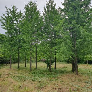 나무의인생과삶님의 나의 농사 필수품 소개하기 · 참여글 작성글 사진