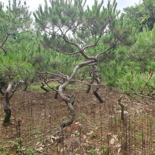 나무의인생과삶님의 나의 농사 필수품 소개하기 · 참여글 작성글 사진