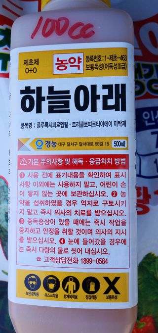 농사 삐약이님의 고추·제초 작성글 사진