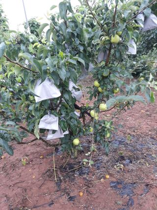 소각섭님의 배 · 자연재해•동물피해 작성글 사진