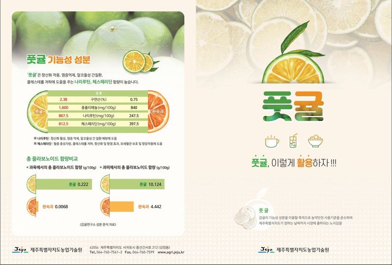 김경철님의 장터 판매 상품 [서귀포 풋귤(청귤) 판매합니다] 첨부 사진