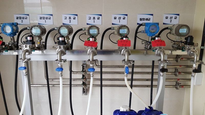 김경철님의 장터 판매 상품 [서귀포 풋귤(청귤) 판매합니다] 첨부 사진