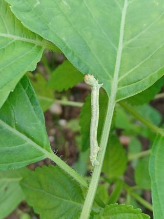 알 수 없음님의 자유주제 · 자유게시판 작성글 사진