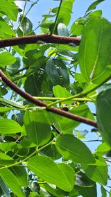 팜모닝 자유주제·자유게시판 게시글 이미지