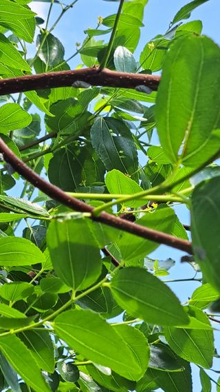 김호연님의 자유주제 · 자유게시판 작성글 사진