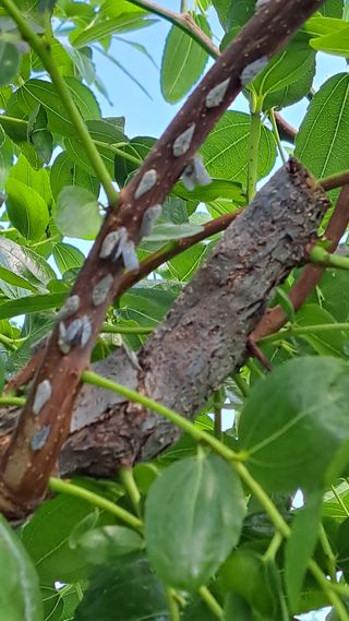 김호연님의 자유주제 · 자유게시판 작성글 사진