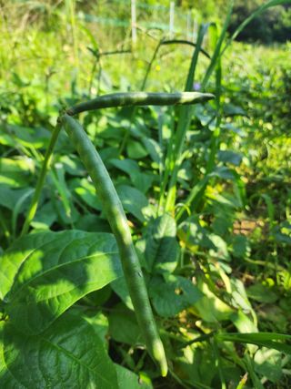 까미네님의 콩 · 자유게시판 작성글 사진