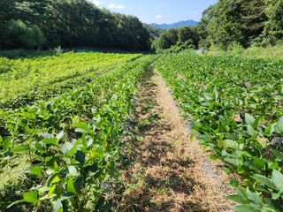 까미네님의 콩 · 자유게시판 작성글 사진