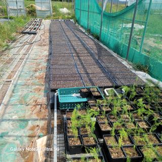 양파링님의 자유주제 · 자유게시판 작성글 사진