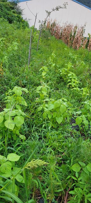 소데카님의 자유주제 · 자유게시판 작성글 사진