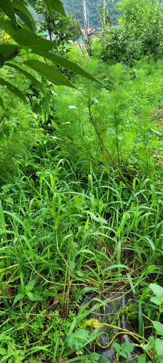 소데카님의 자유주제 · 자유게시판 작성글 사진