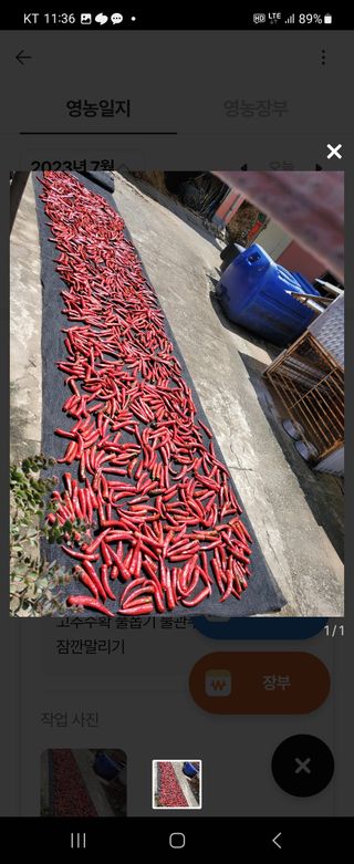 김윤철님의 기타작물 · 자유게시판 작성글 사진