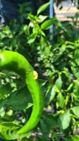 팜모닝 자유주제·사진전 게시글 이미지