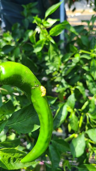 동현님의 자유주제 · 사진전 작성글 사진