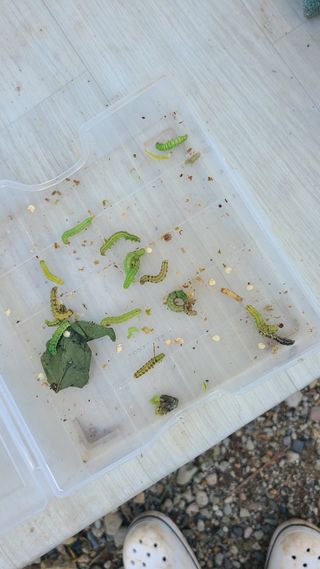 동현님의 자유주제 · 사진전 작성글 사진