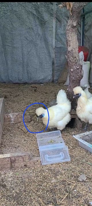 동현님의 자유주제 · 사진전 작성글 사진