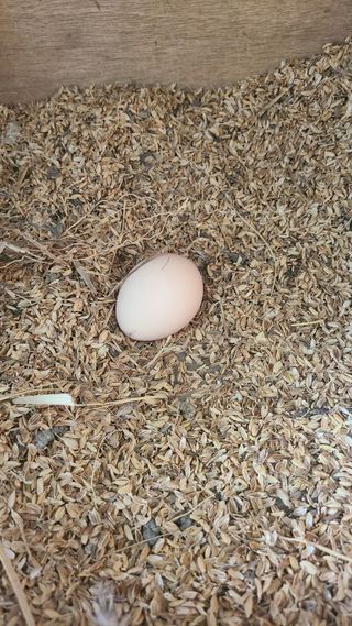 동현님의 자유주제 · 사진전 작성글 사진